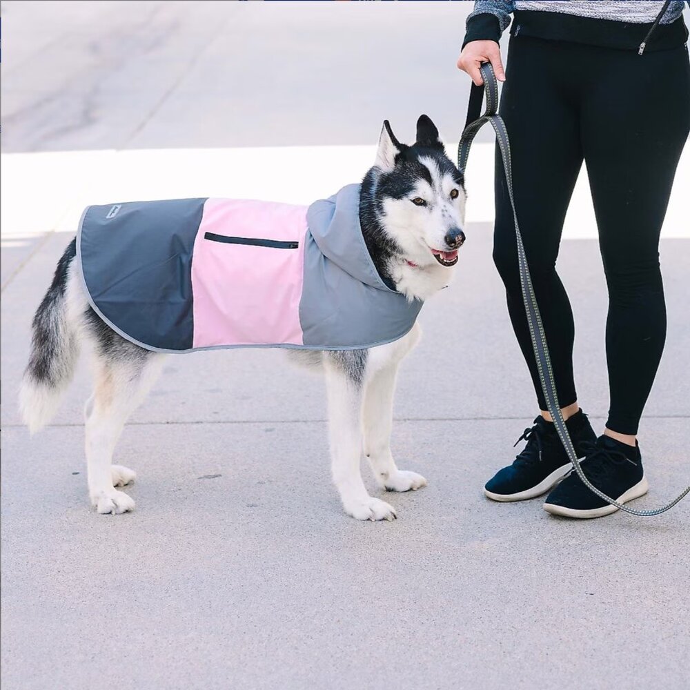 Eddie Bauer Pet Waterproof Dog Windbreaker - Size Medium, Pink/Gray Hooded Rain - Picture 8 of 12